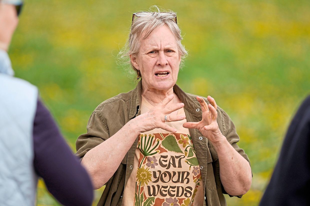 Weaver takes people on nature walks that transform their relationships with their surroundings.