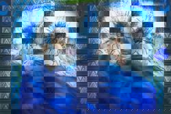 Couples should never go to bed angry, right? It might be time to rethink that