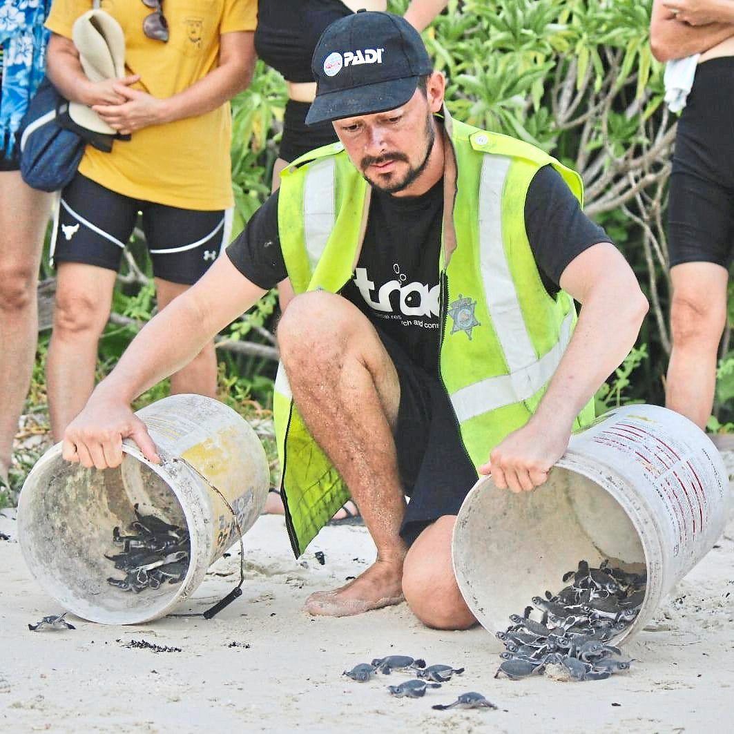 TRACC has also released tens of thousands of hatchlings back into the ocean. — ROBIN PHILIPPO