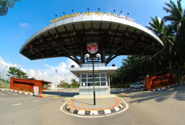 UPM suspends safety director amid probe of dog killings