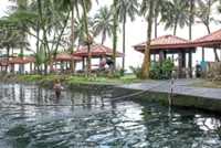 Tourism industry in Cameroon badly affected by separatist conflict