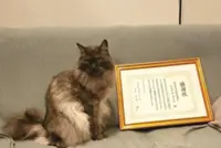 Cat train stationmaster in Japan’s Yamagata retires