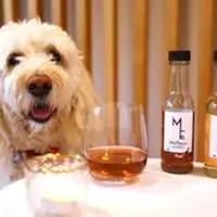 Purrno Noir? New Zealand company sells non-alcoholic wine for pets
