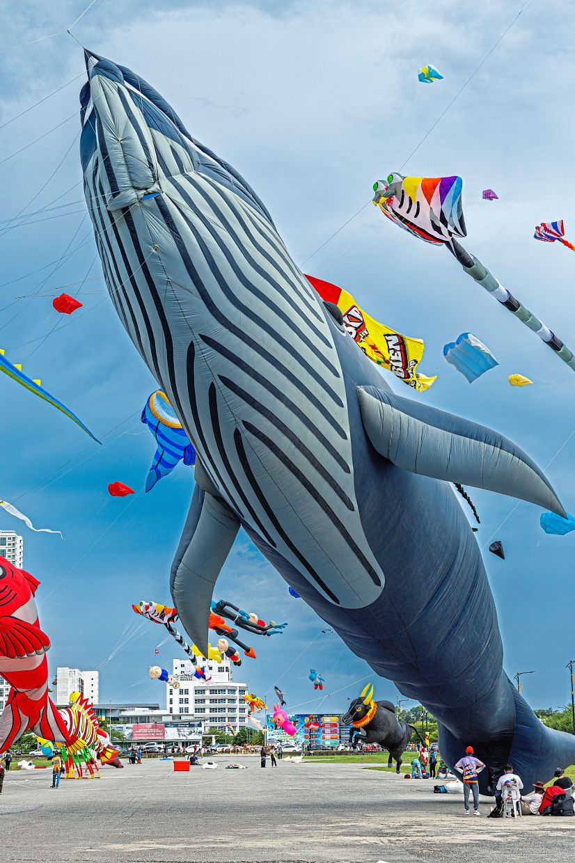 The giant whale being launched into the sky.