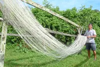 Long life in every strand