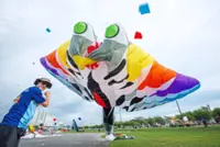 High flyers over Bintulu