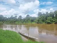 Crocodiles and the quest for clean water