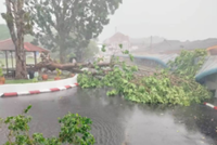Bad weather in Hilir Perak topples trees, obstructs roads