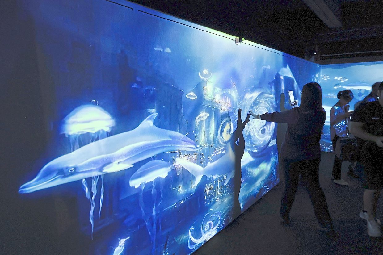 Visitors will encounter marine life in the immersive digital room.