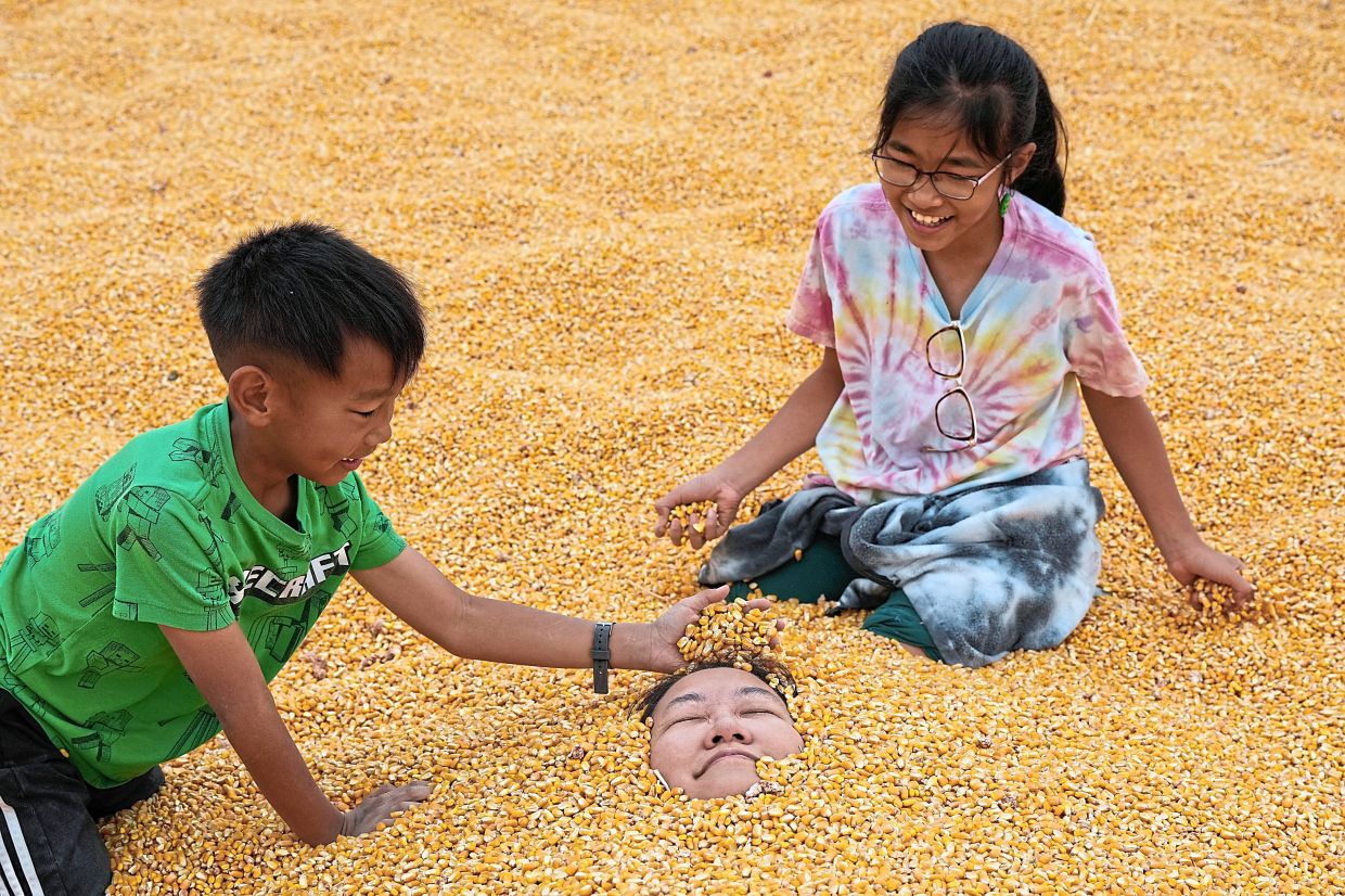 Brandon (left) and Carolyn cover their mother, Shelley, with kernels inside a pool of corn.