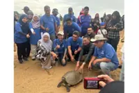 680 river terrapin hatchlings set free in Kemaman