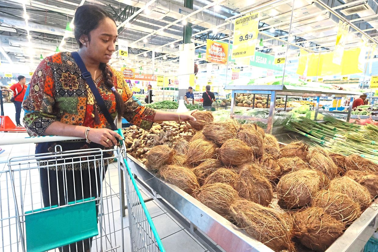 A customer choosing coconuts at a hypermarket in Taman Teratai, Johor Baru. The SHMMP will run until Oct 22, and covers nine types of essential goods nationwide including whole coconut (maximum price applicable at the wholesale level) and grated coconut (maximum price applicable at the retail level).— THOMAS YONG/The Star
