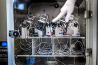 'Wetware': Scientists use human mini-brains to power computers