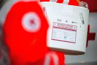 Transplanted pig liver works in human 