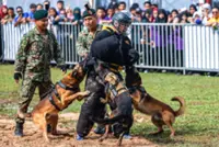 Gallery: Wolf Wing's war dogs steal the show at Melaka Madani Rakyat event