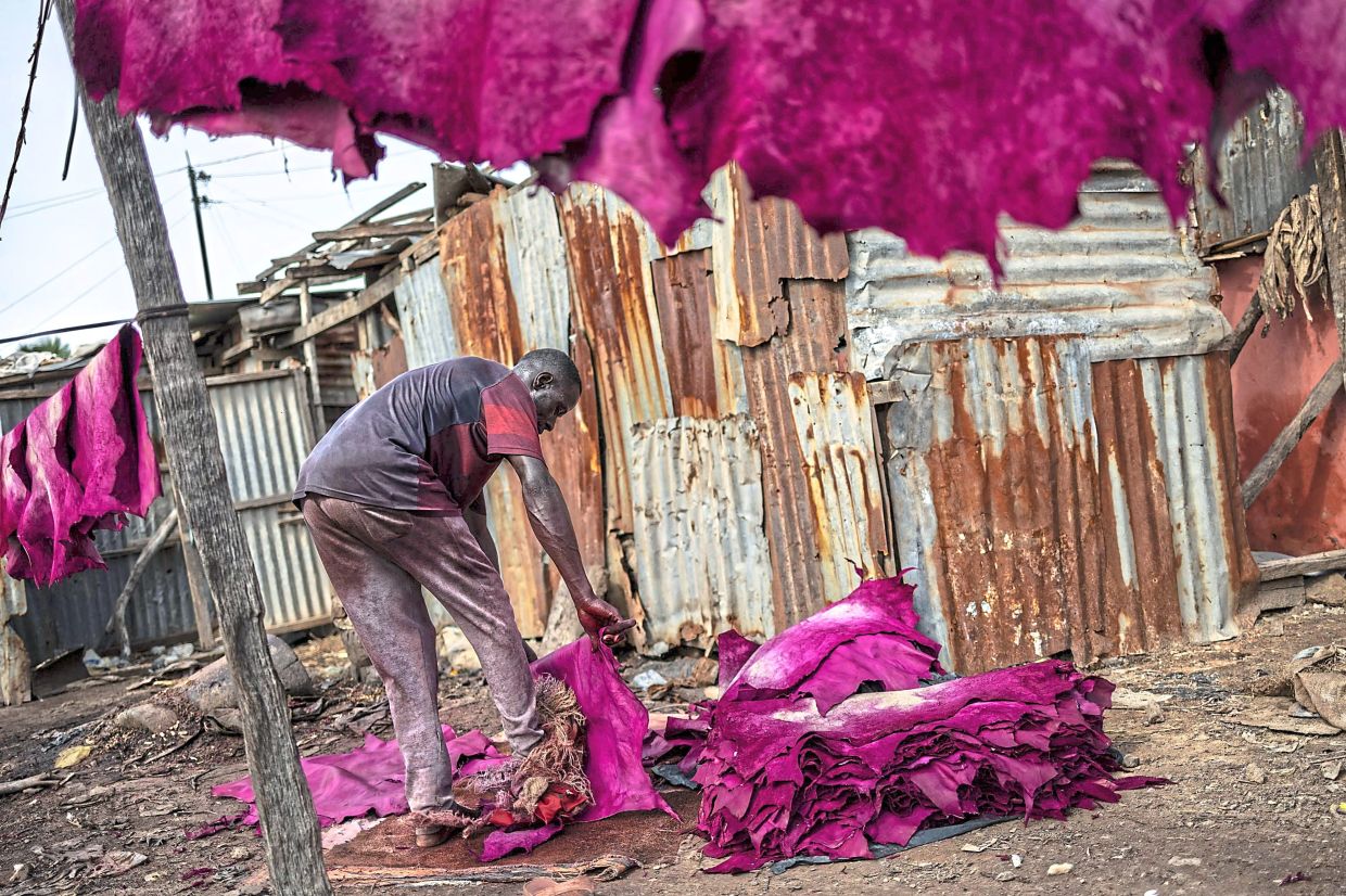 A tanner using sponge fixed on his feet to polish a dyed sheep skin at the Majema traditional tannery in Kofar Wambai.-AFP