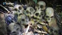 Thai DPM orders stricter patrols after leaf monkey skulls found in Kaeng Krachan National Park