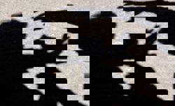 QuickCheck: Did a disagreement between two neighbours lead to a fistfight in Tangkak?