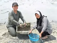 Beachgoers shell-ebrate unofficial cockle festival