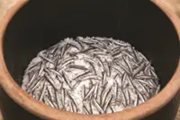 Vietnam's Phu Quoc fish sauce: A Pearl Island flavour