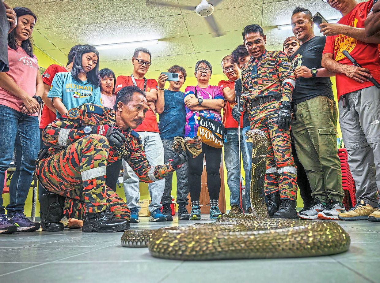 Snake sense and survival: What to do if you are bitten by a snake