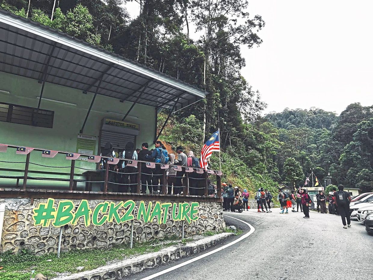 Hikers gather at the trailhead before sunrise. There’s little here to hint at the forest’s long-held secret.