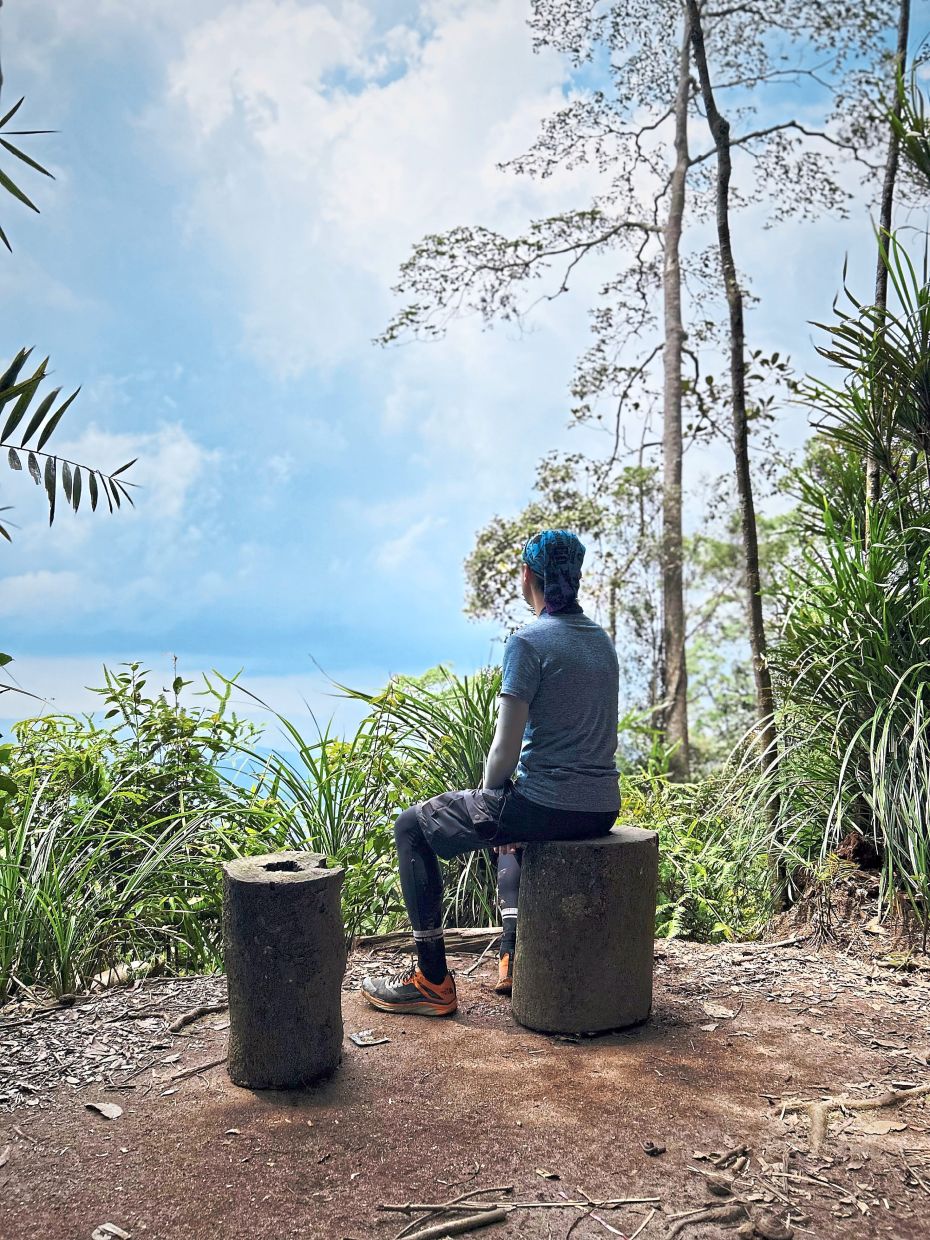 A place to catch your breath, or to think about how easily the forest can keep its secrets.