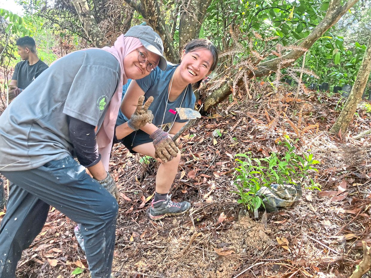 Nurul Naqibah getting her hands dirty planting trees and making new friends in Gerik, Perak, while interning with Tropical Rainforest Conservation and Research Centre.