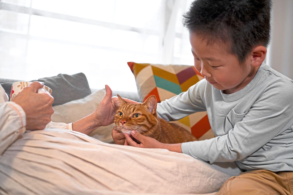 While it is hurtful to lose pets, their presence makes life so much better.