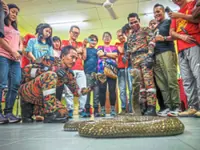 Snake sense and survival: What to do if you are bitten by a snake