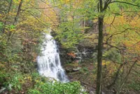 Climate change affects leaf-peeping season in the United States