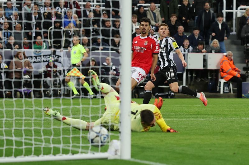 Sorry! Image not available at this time