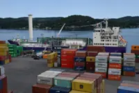 Danantara faces risks in carbon capture projects