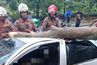Man killed, woman injured as trees fall across KL