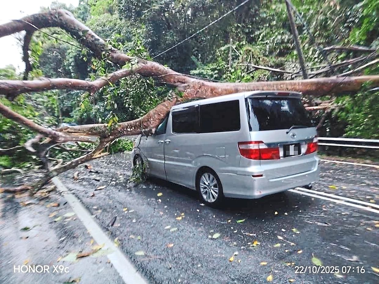 Nature’s wrath: Heavy rain and strong winds caused trees to fall in seven separate incidents across Penang. — Photo from social media