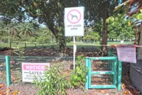 Bandar Utama rep weighs in on off-leash area issue