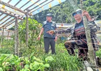 Kiulu women drive agrotourism