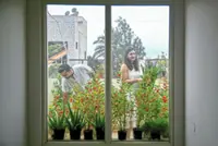 India’s pollution refugees are fleeing New Delhi’s smog in search of cleaner air