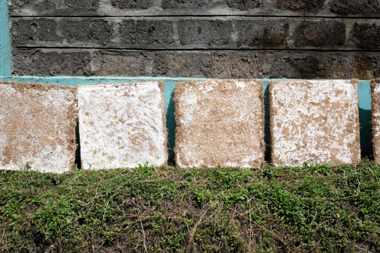 Pallets made from agricultural waste, for use in building house wall and roof insulation, are displayed at the MycoTile facility at the Kenya Industrial Research and Development Institute in Nairobi, Kenya, Thursday, July 24, 2025. (AP Photo/Brian Inganga)
