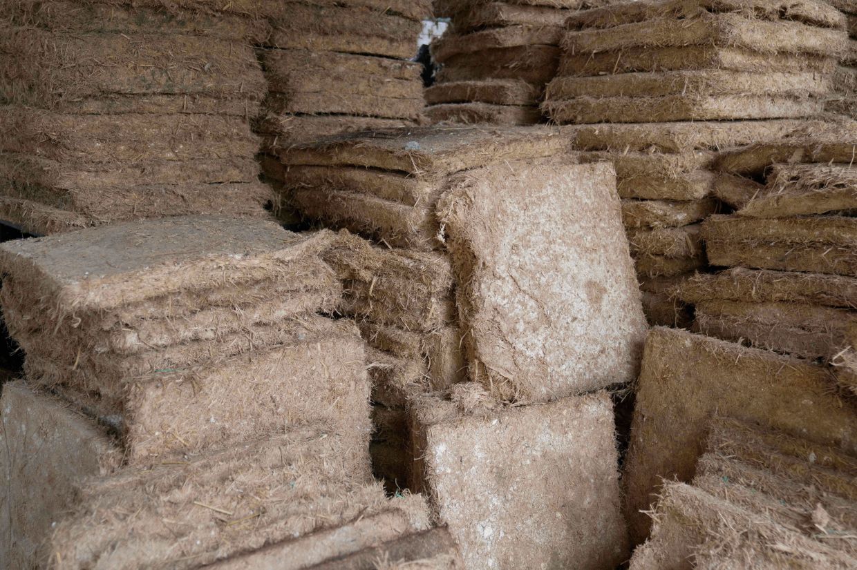 Pallets made from agricultural waste, for use in building house wall and roof insulation, are displayed at the MycoTile facility at the Kenya Industrial Research and Development Institute in Nairobi, Kenya, Thursday, July 24, 2025. (AP Photo/Brian Inganga)