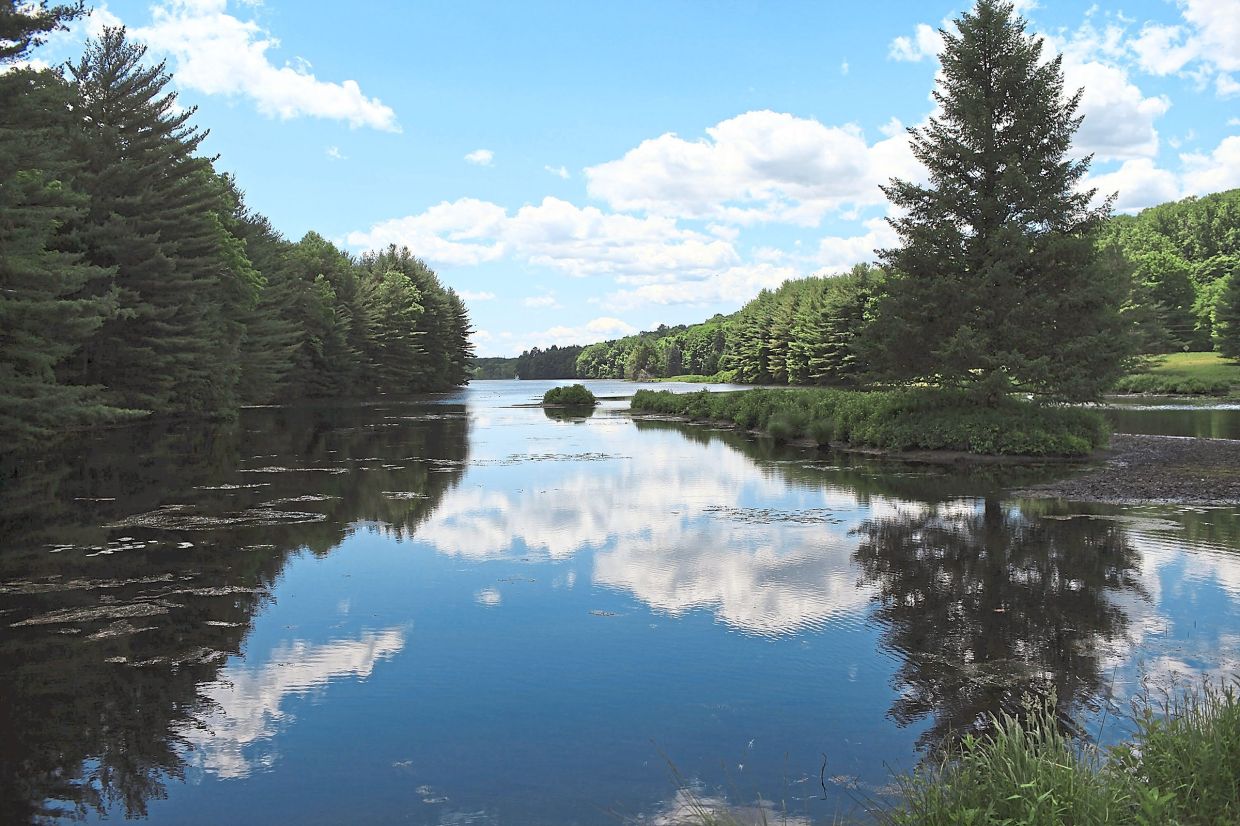 Making trees more resilient to climate change