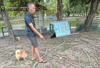 MBPJ halts fence removal at Central Park dog run