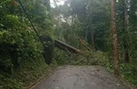 Penang Hill, Air Itam dam trails temporarily closed for public safety