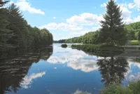 Making trees more resilient to climate change