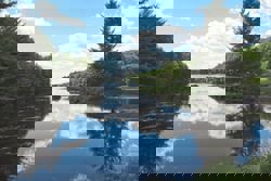 Making trees more resilient to climate change