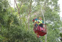 Trees turn deadly in monsoon