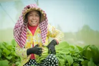 Australia, World Vision launch Mekong initiative to drive green, inclusive growth