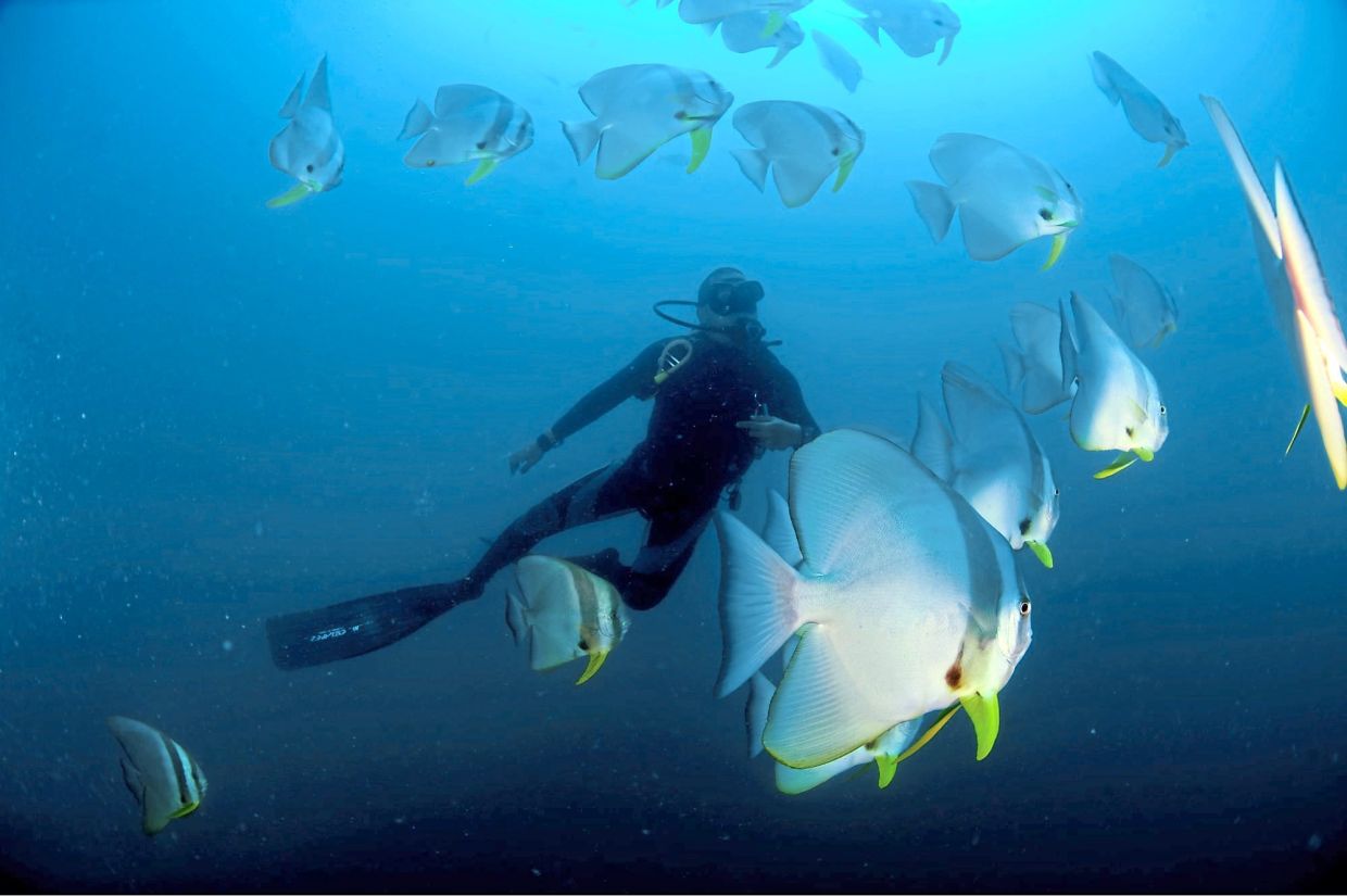 Explore Malaysia’s underwater wonders during the dry season. — Tourism Malaysia
