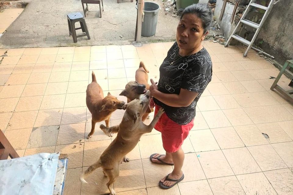 Lastri herself keeps dogs as pets and doesn't use them as food ingredients. - Photo: ST