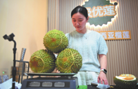 Durian diplomacy: How the ‘king of fruits’ strengthens Malaysia–China trade ties